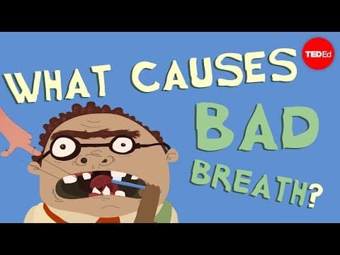 TED-Ed：你有口臭嗎？來看看為什麼 (What causes bad breath? - Mel Rosenberg)