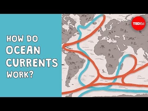 【海洋教育】揭開洋流的神秘面紗 (How do ocean currents work? - Jennifer Verduin)
