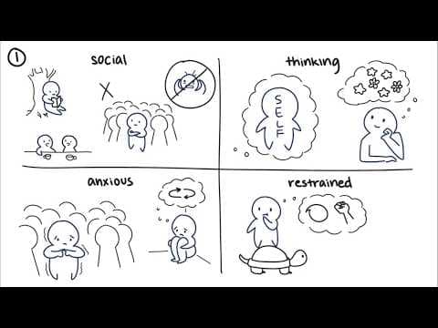 10個關於內向者有趣的事實 (10 Interesting Facts About Introverts)