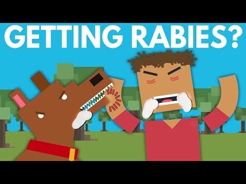 得狂犬病會發生什麼事？ (What Happens When You Get Rabies? - Dear Blocko #2)