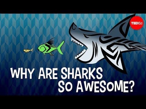 【TED-Ed】為什麼鯊魚這麼棒? (Why are sharks so awesome? - Tierney Thys)
