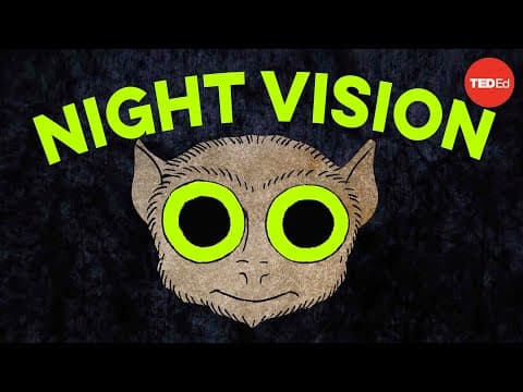為什麼動物可以在黑暗中看得一清二處?? (How do animals see in the dark? - Anna Stöckl)
