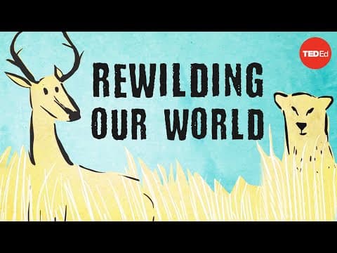 【TED-Ed】從食物鏈的頂端往下看：重新野化我們的世界 (From the top of the food chain down: Rewilding our world - George Monbiot)