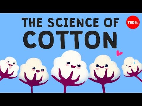 【TED-Ed】當我「棉」同在一起？為何什麼都有棉花？ (Why is cotton in everything? - Michael R. Stiff)