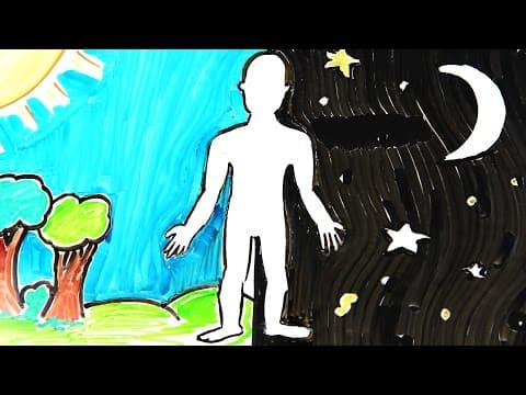 【科學英文】你的身體在24小時之內都發生了什麼事情呢This is your body over 24 hour(Asapscience) (This Is Your Body Over 24 Hours)