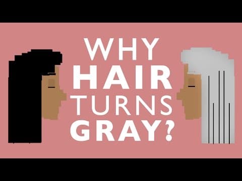 為什麼頭髮會變灰？Why Your Hair Will Turn Gray