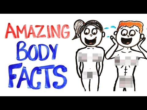 【科學知識】天啊！原來我的身體這麼酷！(Why Your Body Is AMAZING!)
