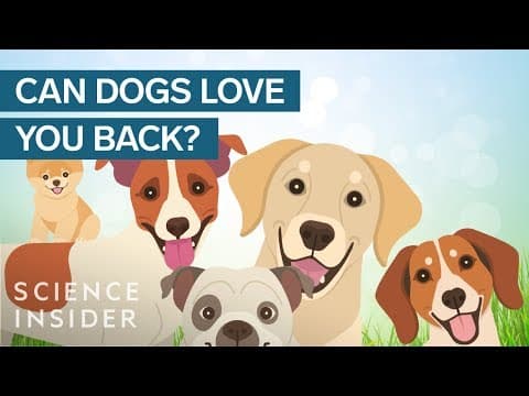 哭哭，你的狗狗真的愛你嗎？ (Does Your Dog Really Love You?)