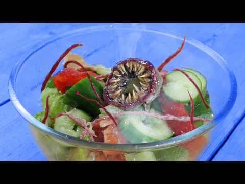 如何做出一盤美味沙拉 (How to make a salad from possessed vegetables)