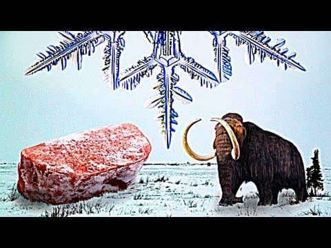 你所不知道「冷凍食品」的秘密！