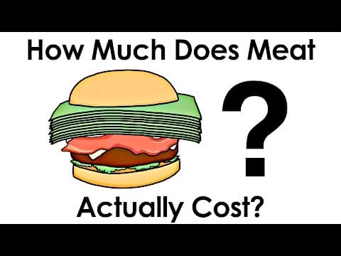 肉類值多少？ (How Much Does Meat Actually Cost?)