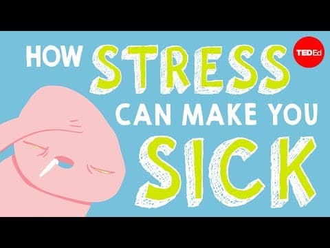 【TED-Ed】壓力是如何影響你的身體的--Sharon Horesh Bergquist。 (【TED-Ed】How stress affects your body - Sharon Horesh Bergquist)