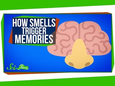 氣味竟然能觸發你的記憶！？（How Smells Trigger Memories）