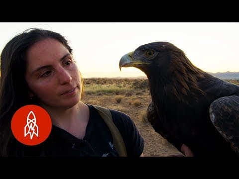 改寫傳統的女性獵鷹訓練家 (The Female Falconers Rewriting Tradition)