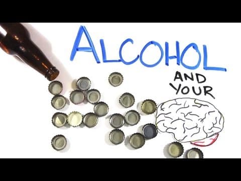 酒精對大腦的影響 (Your Brain on Drugs: Alcohol)