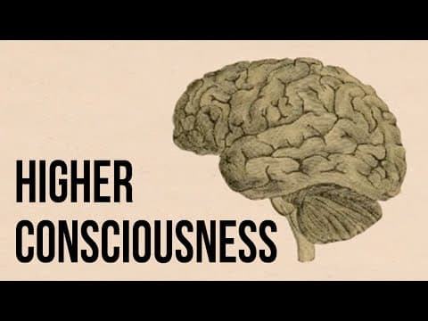 究竟何謂「高層意識境界」？(Higher Consciousness)