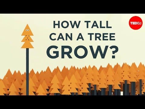 樹究竟能長多高？ (How tall can a tree grow? - Valentin Hammoudi)