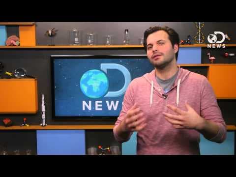 安眠藥真的能幫助睡眠? (Do Sleeping Pills Really Help You Sleep?)