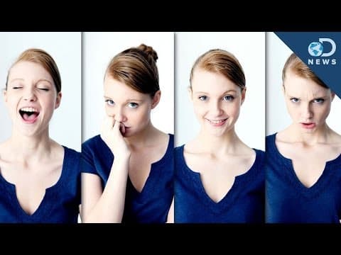 真的假的！我們其實只有四個面部表情？！ (We Only Have Four Facial Expressions!)