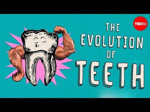 【TED-Ed】牙齒是怎麼演化的？(How did teeth evolve? - Peter S. Ungar)