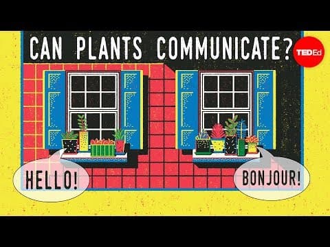 【Ted-Ed】植物會對話嗎？ (Can plants talk to each other? - Richard Karban)