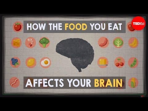 看看食物對大腦的影響！(How the food you eat affects your brain - Mia Nacamulli)