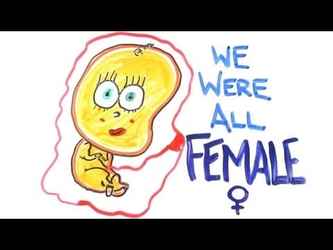 別分那麼細！我們以前都是女生！ (We were all female)