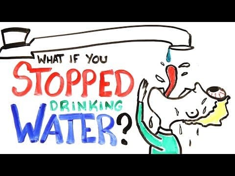沒事多喝水，多喝水沒事！如果你停止喝水會發生什麼事？ (What if You Stopped Drinking Water?)