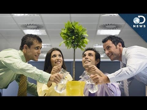 在你的辦公室種點小植物吧！The Incredible Benefits of Having Plants in Your Office!